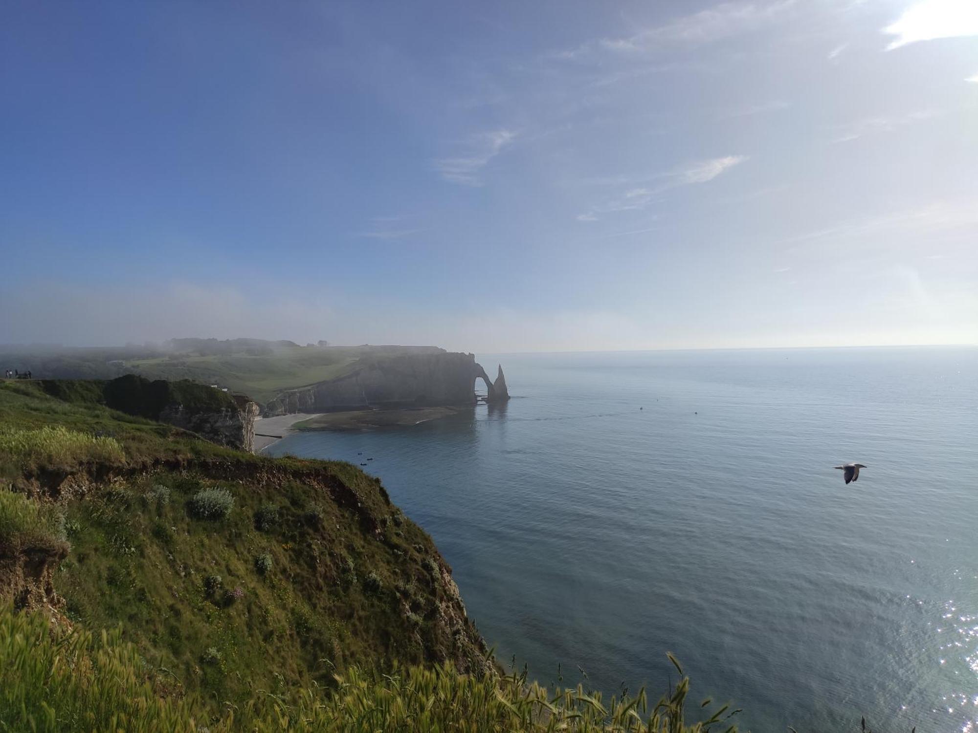 Gite 9 personnes PMR Fécamp Etretat Colleville Exterior foto